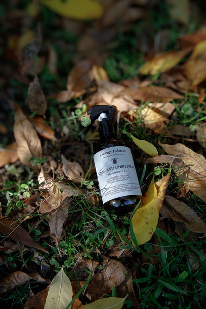 AMBIENT &amp; TEXTILE MIST